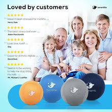 Stress Ball 2.0 with Dynamic Resistance & Grip Strengthening - Dual Core Gel and Foam (Grey, Blue)